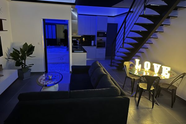 location-loft-garage-lyon-love-room-borabora-1