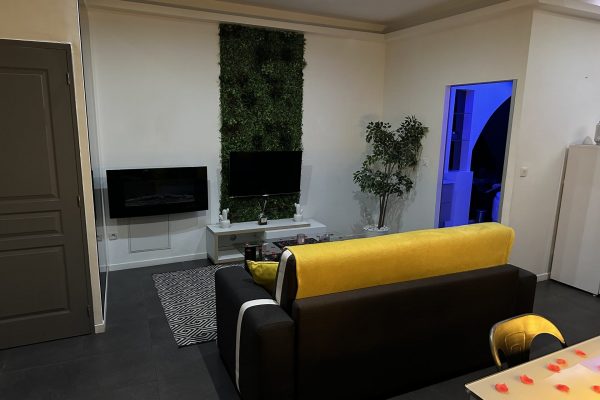 location-loft-garage-lyon-love-room-borabora-12