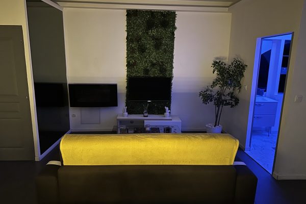 location-loft-garage-lyon-love-room-borabora-13 location-loft-garage-lyon-love-room-borabora-13