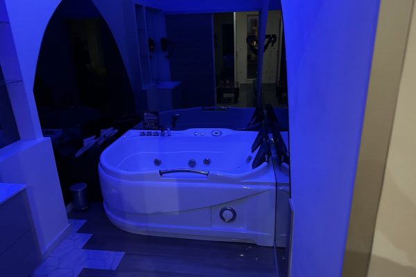 location-loft-garage-lyon-love-room-borabora-3