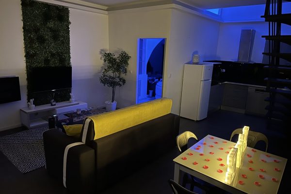 location-loft-garage-lyon-love-room-borabora-5