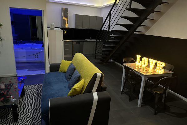 location-loft-garage-lyon-love-room-borabora-6