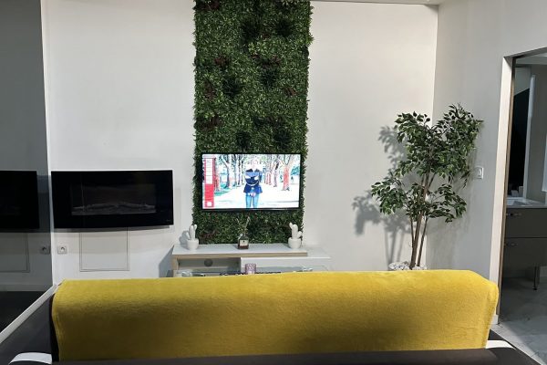 location-loft-garage-lyon-love-room-borabora-7